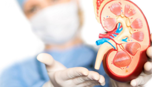 Consulta de Urologia