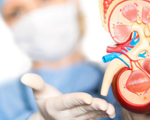 Consulta de Urologia