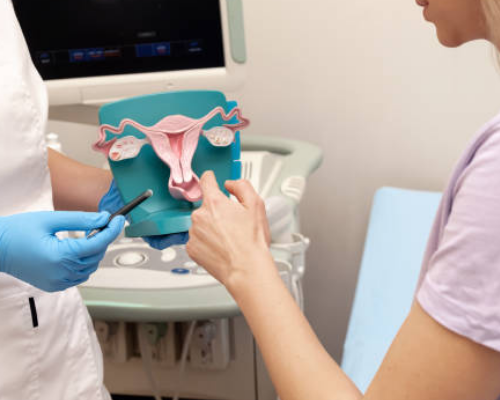Consulta de Ginecologia em anapolis