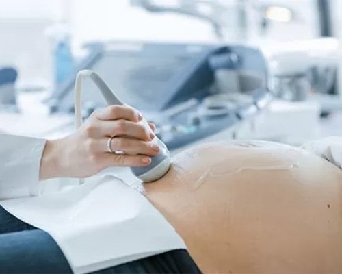 Ultrassonografia Obstétrica com Doppler Indireto